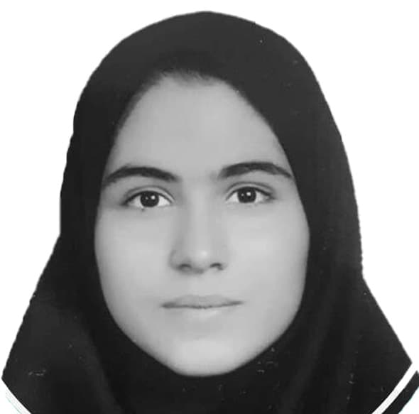 انیس محمود زاده